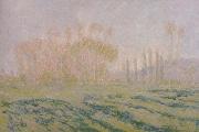 Claude Monet Meadow with Poplars oil painting picture wholesale